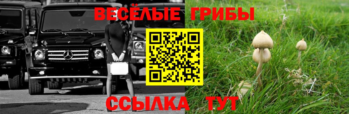 Псилоцибиновые грибы Psilocybe  Вход с VPN  Ртищево 